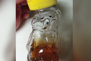 melted-honey-bear-the-classroom-abj-october-2016