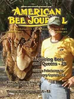 January 2015 ABJ Cover