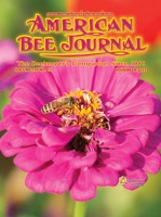 November 2015 Cover