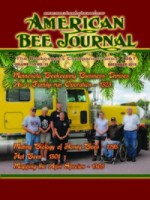 ABJ - December Cover