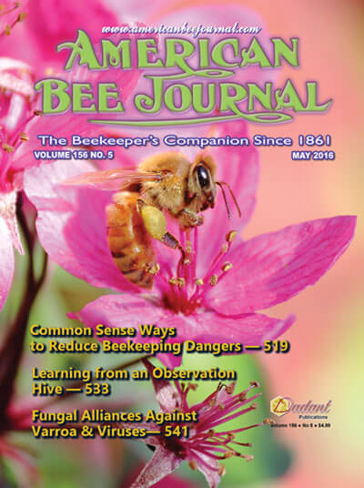 ABJ MAY 2016