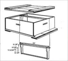 Beginner's Beekeeping Recommendations