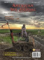 ABJ December Cover