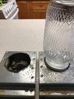 entrance feeders