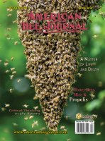 swarm of bees