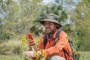 Research Declining Bee population
