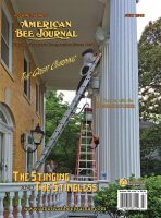 Swarm on scrollwork of column