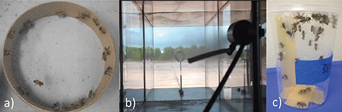 notes from the lab - ABJ