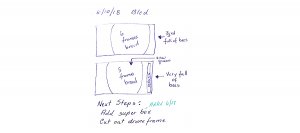 Hive inspection notes