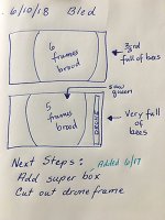 Hive inspection drawing