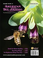 December ABJ Cover