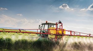 Tractor spraying wheat field with sprayer