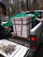 Campfire survival Hive