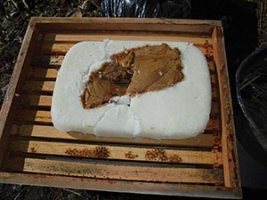 ABJ Beekeeping Basics Candy Board