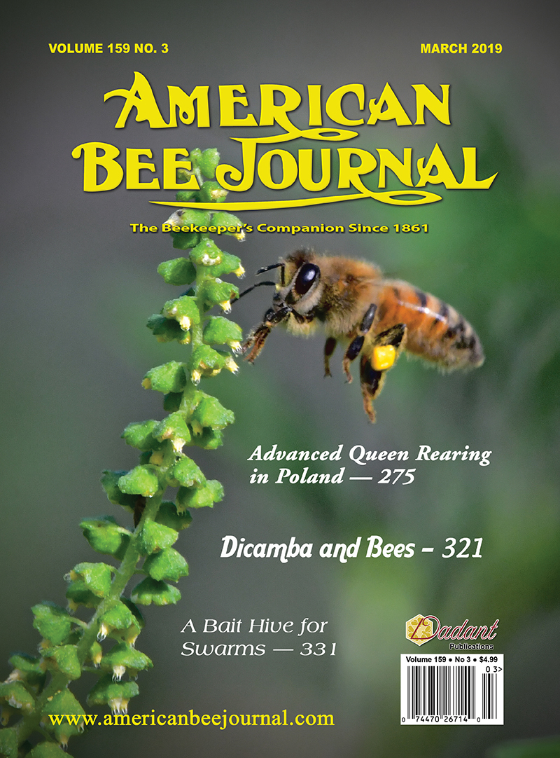 ABJ March 2019 Cover