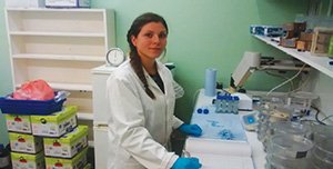 lab