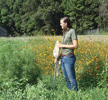 Clemson University Graduate Student