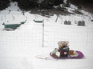 bee hives in winter snow