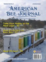 ABJ Cover January 2020