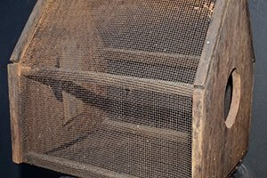 Old Package Bees Container