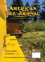 May 2020 ABJ Cover
