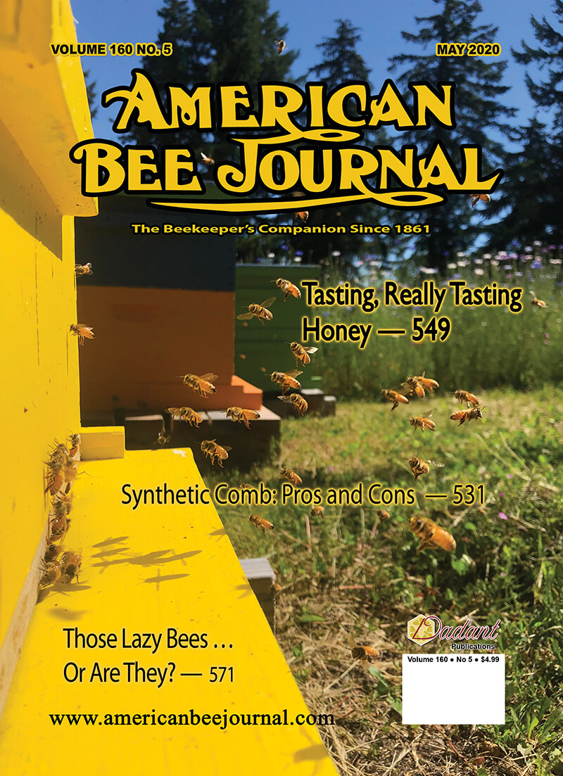 May 2020 ABJ Cover