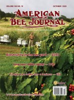 ABJ October 2020 Cover