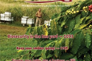 ABJ October 2020 Cover