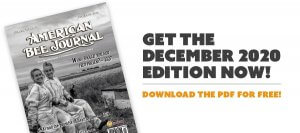 December2020-download-free