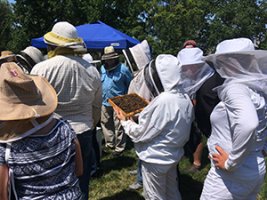 Beekeeping Class