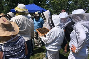 Beekeeping Class