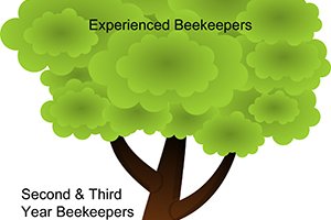 Burlew Tree of Knowledge