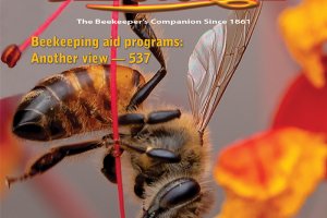 ABJ_May_2021_Cover-photo