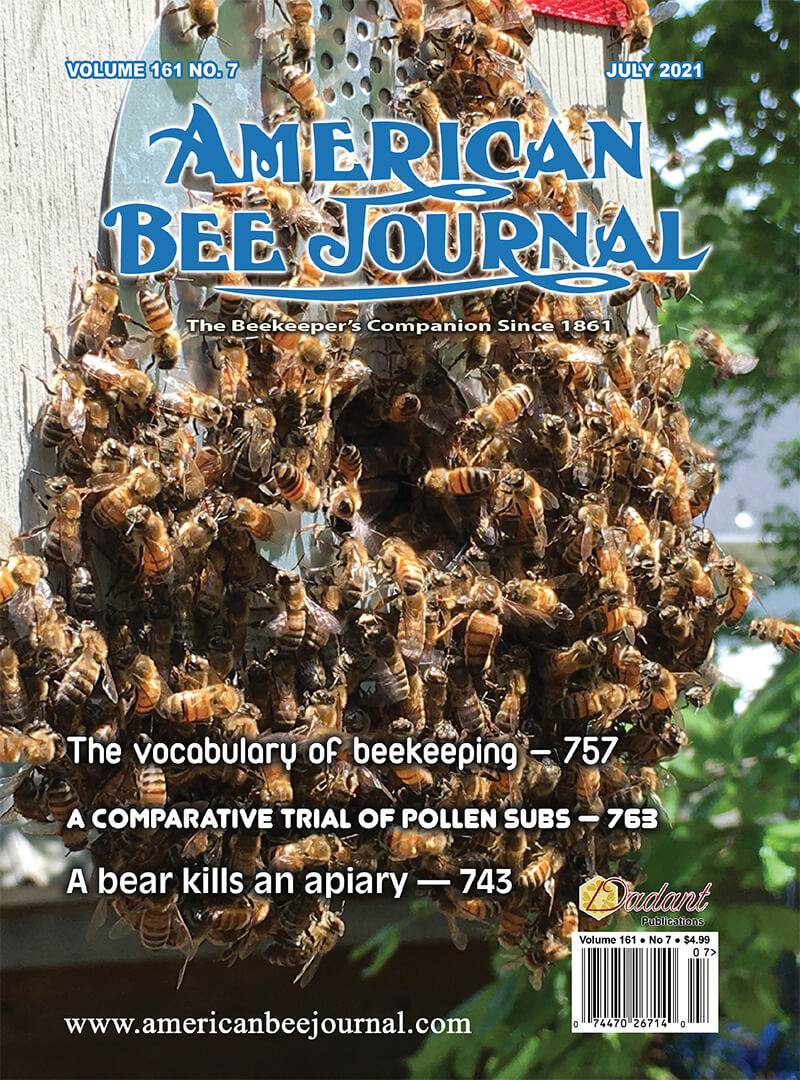 ABJ July 2021 Cover