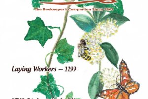 November 2021 American Bee Journal Cover