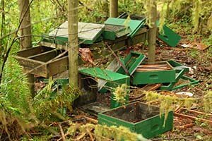 Bear Damage to Hives