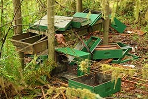 Bear Damage to Hives