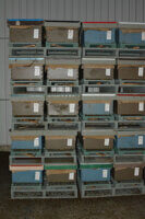 Overwinter Beehives Indoors