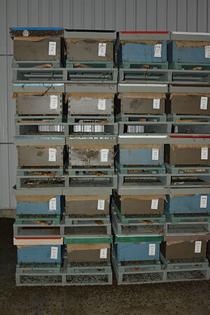 Overwinter Beehives Indoors