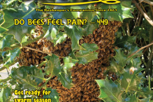 April 2022 American Bee Journal Cover