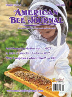 ABJ June Cover