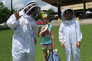 City of Bee Cave's Festival