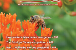 ABJ 2022 Cover