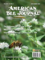 ABJ September 2022 Cover
