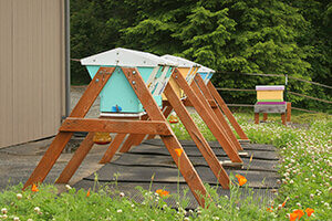 Slovenian-style apiary
