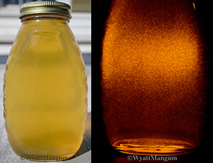 honey