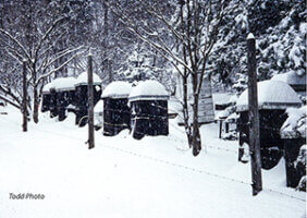 Snow covered bee hives
