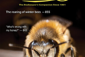ABJ Cover August 2023