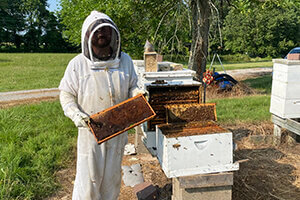 Holbrook-Pollinator Health Study
