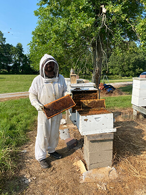 Holbrook-Pollinator Health Study